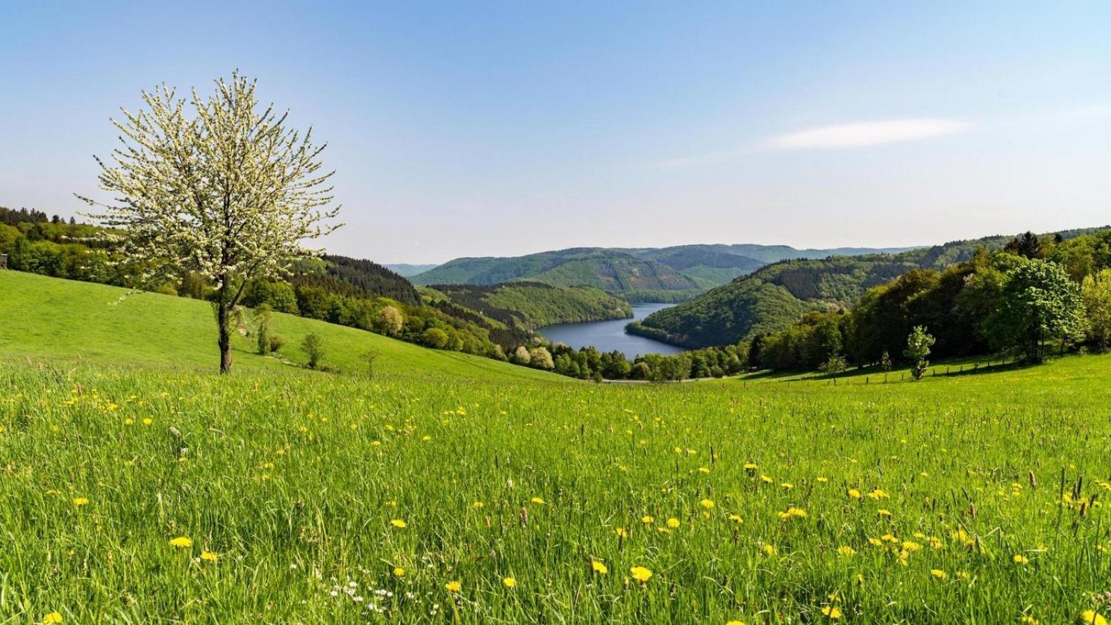 Garni Hotel Im Fachwerkhof Simmerath Eksteriør billede